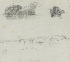 Skizzen von Bäumen, Reben und einem Ufer des Rio Magdalena, Kolumbien